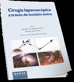CIRUGIA LAPAROSCOPICA A TRAVES D