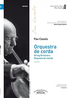Orquestra de corda
