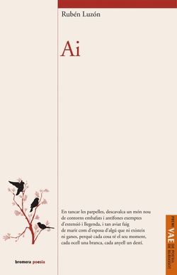 (CAT).AI!.PREMI VICENT ESTELLES 2011.(BROMERA POESIA)