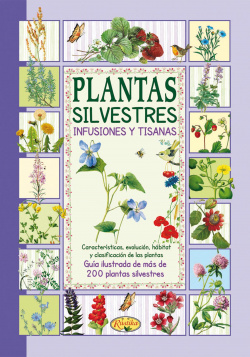Plantas silvestres infusiones y tisanas