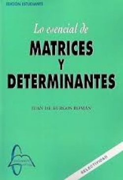 LO ESENCIAL DE MATRICES Y DETERMINANTES