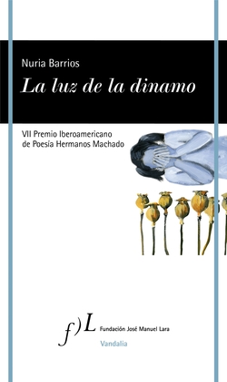 La luz de la dinamo