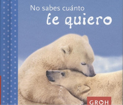 No sabes cuanto te quiero