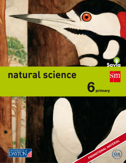 Natural science 6º primaria *naturales inglés* (savia)