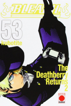Bleach 53