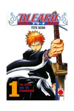 1.Bleach.The death and the strawberry