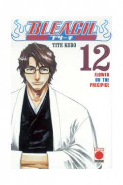 Bleach,12