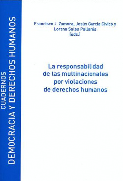 Responsabilidad multinacionales violaciónes derechos humanos