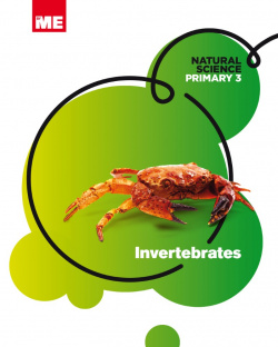 Invertebrates 3ºprimaria. Natural science modular