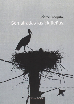 Son airadas las cigüeñas