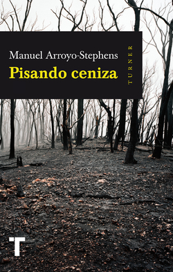 Pisando cenizas