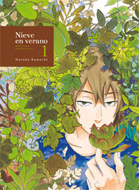 Nieve En Verano, 1