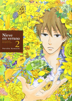 Nieve En Verano, 2