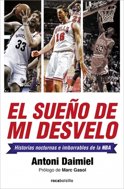 EL SUEÑO DE MI DESVELO