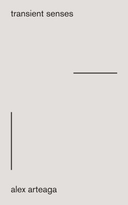 Transient Senses
