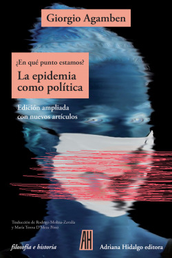 La epidemia como política (NE)
