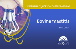 Essential guides on cattle farming. Bovine mastitis