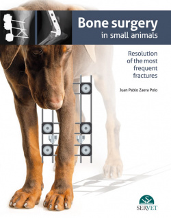Bone surgery in small animals