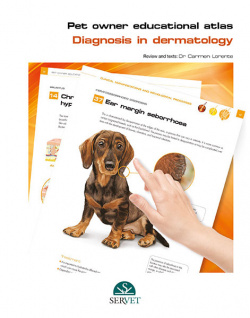 Diagnosis in dermatology. Pet owner educational atlas