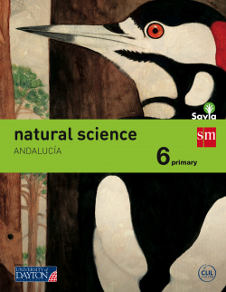 Natural science 6º.prim.(naturales inglés) savia