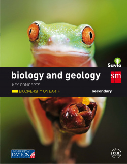 biology and geology 1º eso: tierra activity 2016