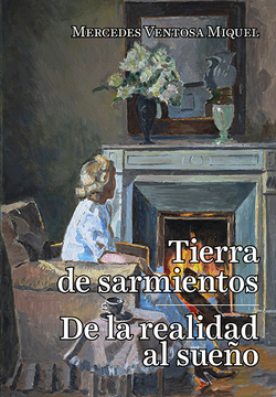 Tierra de Sarmientos. De la realidad al sueño