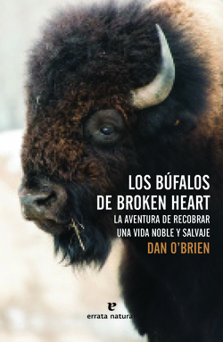 Los búfalos de Broken Heart