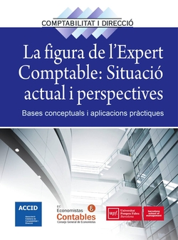 Figura De L Expert Comptable Situacio Ac