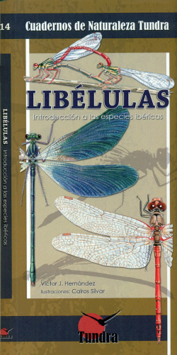 Libelulas
