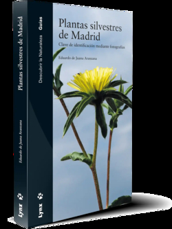 PLANTAS SILVESTRES DE MADRID