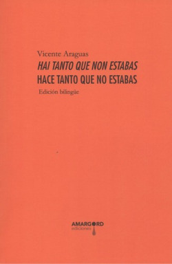 Hai tanto que non estabas