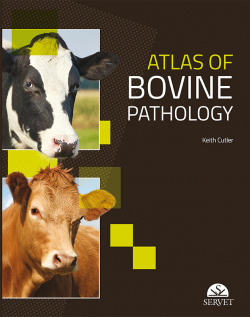 Atlas of bovine pathology