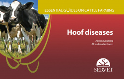 Essential guides on cattle farming. Hoof diseases