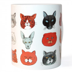 TAZA GATOS BAJO LA LUPA DE LOS CIENT¡FICOS