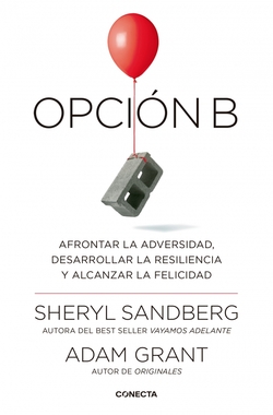 OPCION B