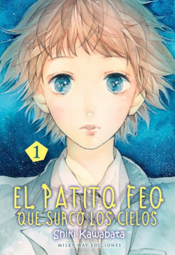 El patito feo que surcó los cielos nº1
