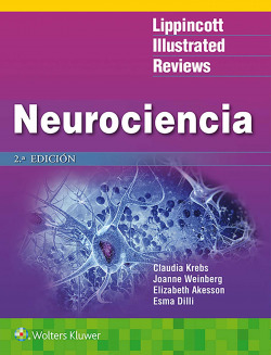 LIR: Neurociencia