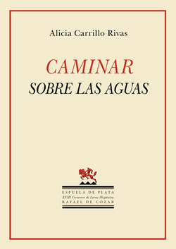 Caminar sobre las aguas