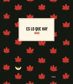 Es lo que hay