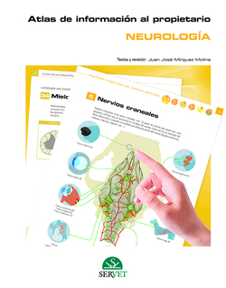 NEUROLOGÍA