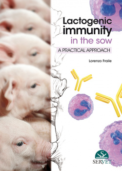 Lactogenic immunity in the sow