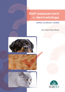 Self-assessment in dermatology