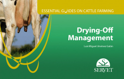 Essential guides on cattle farming. Drying-off Management