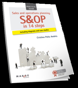 SALES AND OPERATIONS PLANING