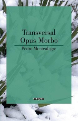 TRANSVERSAL