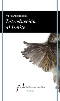 INTRODUCCION AL LÍMITE