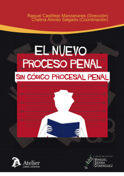 El nuevo proceso penal