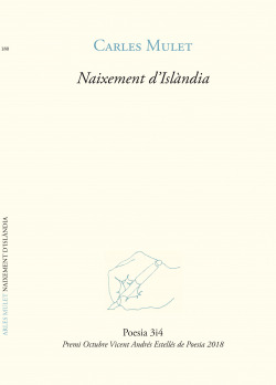 NAIXEMENT D'ISLàNDIA