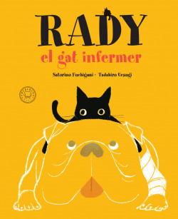 Rady, el gat infermer