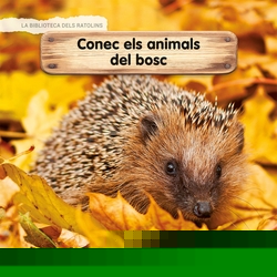 CONEC ELS ANIMALS DEL BOSC